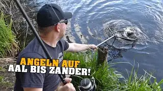 Angeln auf Aal bis Zander am gro&szlig;en See! Wieviele Fischarten gibt es am Tag? OSA in Mission
