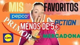 Mis favoritos por menos de 5€ Action ,Mercadona , Pepco …