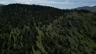 Tract 4 Bull Elk