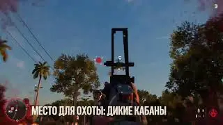 FarCry 6 bugs.