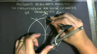 12 partes
