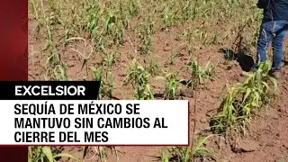 Sequ&iacute;a no da tregua a estados de la regi&oacute;n sur de M&eacute;xico