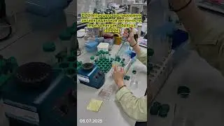 Процесс взвешивания экстракта периллы и реактива DPPH перед проведением эксперимента DPPH