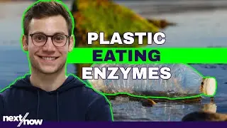 Giving New Life to Plastic Waste | Epoch Biodesign