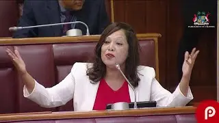 Budget 2024-2025 : l'intervention de Stephanie Anquetil au parlement