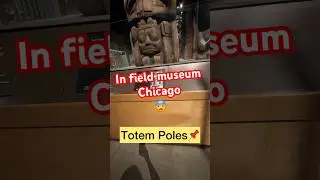#fieldmuseum #chicago #viral #viralvideos #viralshorts #یوتیوب_فارسی #یوتیوبر_فارسی #موزه