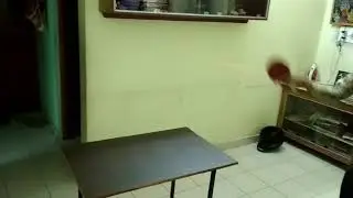 How to do table tennis practice at home