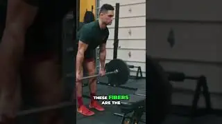 Why You&rsquo;re Not Gaining Strength &ndash; The Type 2B Muscle Fiber Fix!| Power Within Gym