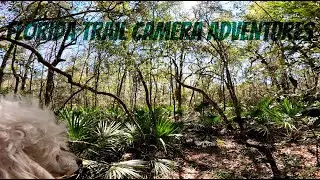 Florida Trail Camera Adventures .. Valentines Day