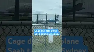 Cage dive Rex Saab plane taxing at Sydney