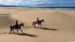 Horseback Riding Jeffreys Bay South Africa
