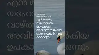 Malayalam Bible Verse |Psalm 103:2 | Forget Not His Benefits #shorts