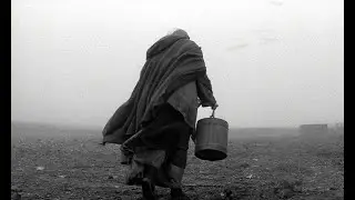 A Torin&oacute;i L&oacute; / The Turin Horse / Torino Atı
