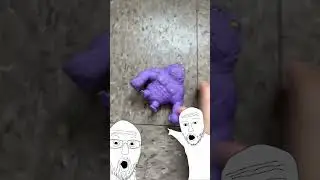 Monkey die
