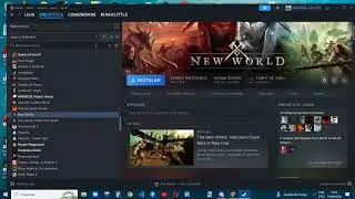 Relan&ccedil;amento de New World: Opini&atilde;o