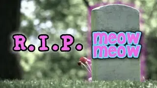 What Happened To MeowMeow?