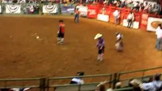 Pedro and Beaudreaux Campbell Cowtown New years Eve mini bucking bulls at PBR classic