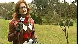 UCSTV Not&iacute;cias - 23/08/2011