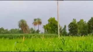 Village life in Pakistan | Beautiful Village scenes of Pakistan | Pakistani Green Villages