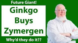 Why did Ginkgo Buy Zymergen || Plus DNA Q2 Earnings Breakdown