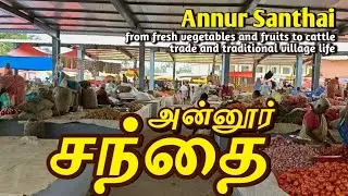 Annur Santhai | Tamil Nadu Village Market | Traditional Indian Weekly Market Vlog