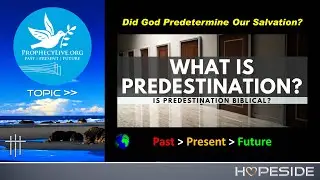 Did God Predetermine Our Salvation?
