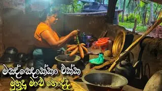 special fish carey with Cassava | Village Spicy yummy  foods | mr vila | cooking recipe 