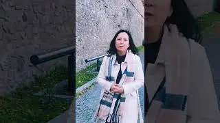 2 часть. Как работает программа EYE в Словакии