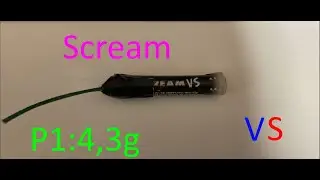 Scream VS (Vogelschreck, birdbanger) on ground (4k60p)