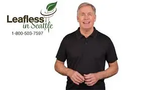 Leafless In Seattle | Services In Queen Anne