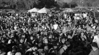 Psycho White - Marijuana (Live at Higher Grounds Music Festival)