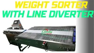 WANT Efficient Fruit Processing? Watch This Weight Sorting Machine Now