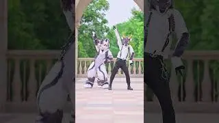 Furry dance in 35℃