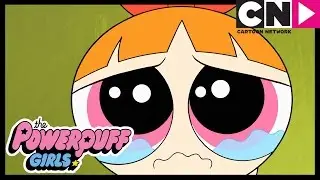 Powerpuff Girls | Power-up Puff | Cartoon Network