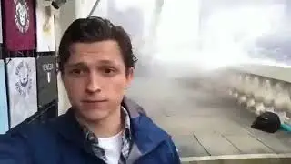 FOTOSINTESIS MEME