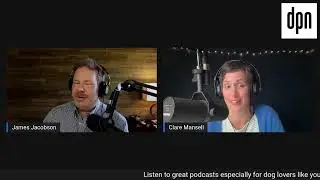 New Shows Dog Podcast Network Dropped This Week