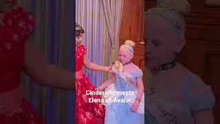 Disney World Meet and Greet. Cinderella meets Elena #disneyworld #meetandgreet #princess
