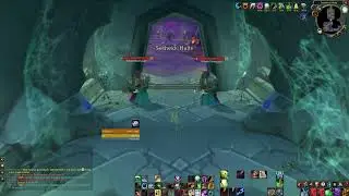 TBC Classic - Feral Druid Sethekk Solo 4m 48s (Invis used)