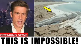 Dead Sea Bible Prophecy Is Coming True—Living Fish Found as Ezekiel Foretold!