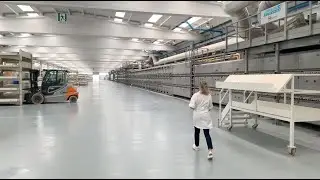 Visite d'usine : Laminam
