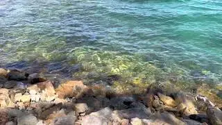 Amity point - north Stradbroke island