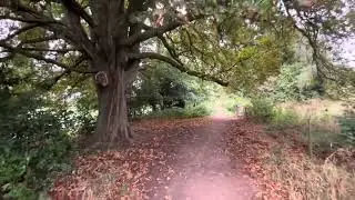 Barlaston countryside/peaceful/nature/ASMR/relaxing/mindfulness/exercise/summer/wildlife/farming/my 
