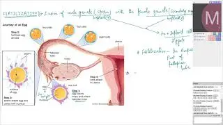 Best Online Live Classes | Online Test | Innovative Study Material | Radiance DLPD