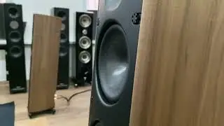 Scansonic MB2.5 B