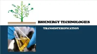 Bioenergy Technologies: Transesterification#bioenergy #biofuels #biodiesel