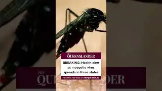 BREAKING: Health alert as mosquito virus spreads in three states.