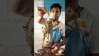 Amazing crab cutting skills