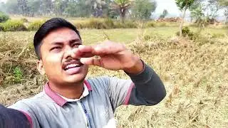 Fresh Khejurer Ros Collection Vlog 😋| খেজুর গাছে রস তোলা | Village Life Entertainment