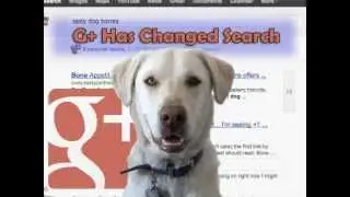 How Google Plus Has Changed Search Forever!