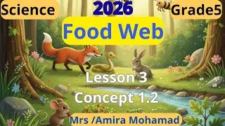 Science Grade5 | Food Web | Lesson 3 | Concept 1.2 | شرح ساينس خامسة إبتدائي ترم اول